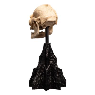El Señor de los Anillos Estatua Skull of Lurtz 14 cm