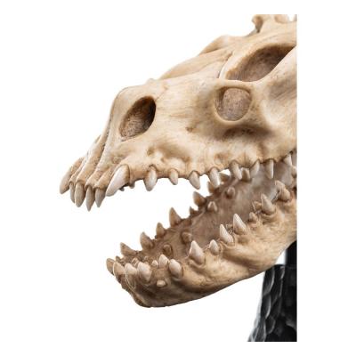 El Señor de los Anillos Estatua Skull of a Fell Beast 21 cm
