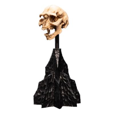 El Señor de los Anillos Estatua Skull of a Moria Orc 13 cm