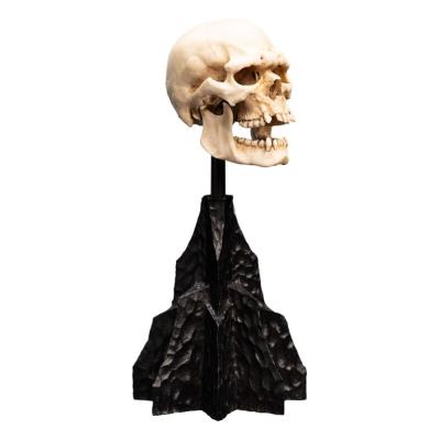 El Señor de los Anillos Estatua Skull of a Mordor Orc 14 cm