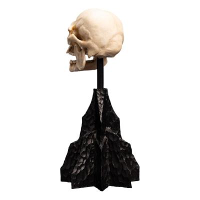El Señor de los Anillos Estatua Skull of a Mordor Orc 14 cm