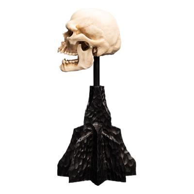 El Señor de los Anillos Estatua Skull of a Mordor Orc 14 cm