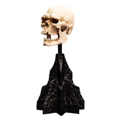 El Señor de los Anillos Estatua Skull of a Mordor Orc 14 cm