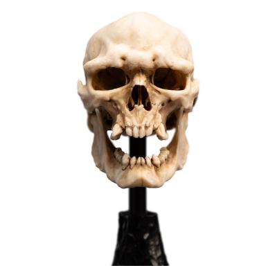El Señor de los Anillos Estatua Skull of a Mordor Orc 14 cm