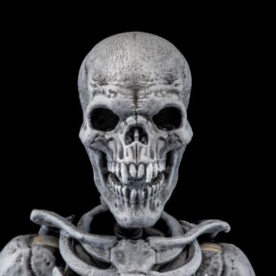 Graveyard Skeletons pack de 4 Figuras