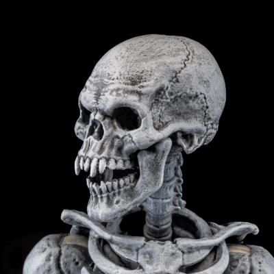 Graveyard Skeletons pack de 4 Figuras