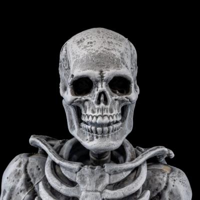 Graveyard Skeletons pack de 4 Figuras