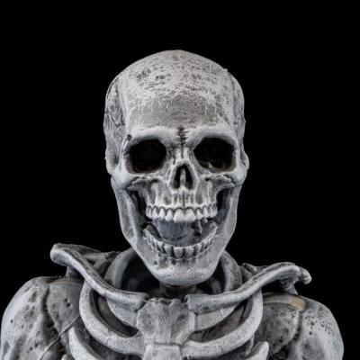 Graveyard Skeletons pack de 4 Figuras