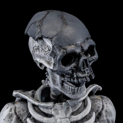 Graveyard Skeletons pack de 4 Figuras