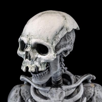 Graveyard Skeletons pack de 4 Figuras