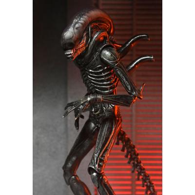 Alien: Romulus Figura Ultimate Xenomorph XX121 18 cm
