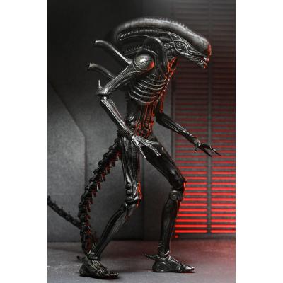 Alien: Romulus Figura Ultimate Xenomorph XX121 18 cm
