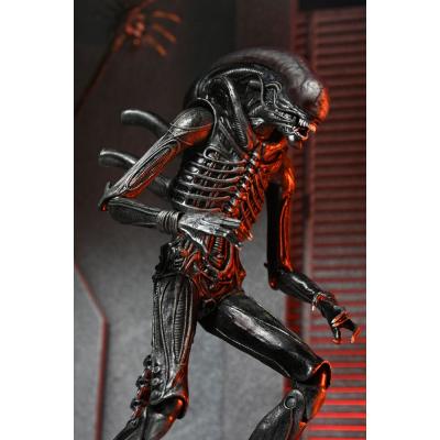 Alien: Romulus Figura Ultimate Xenomorph XX121 18 cm