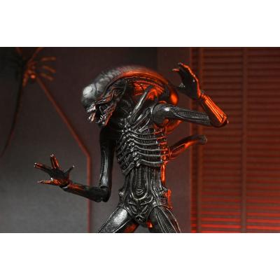 Alien: Romulus Figura Ultimate Xenomorph XX121 18 cm