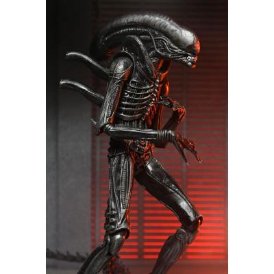 Alien: Romulus Figura Ultimate Xenomorph XX121 18 cm