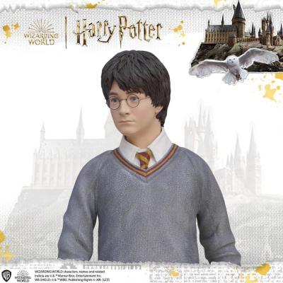 Harry Potter Estatua tamaño real Harry Potter 174 cm