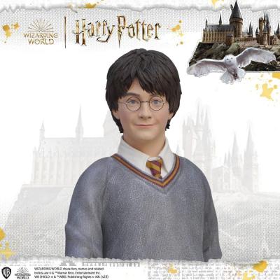 Harry Potter Estatua tamaño real Harry Potter 174 cm