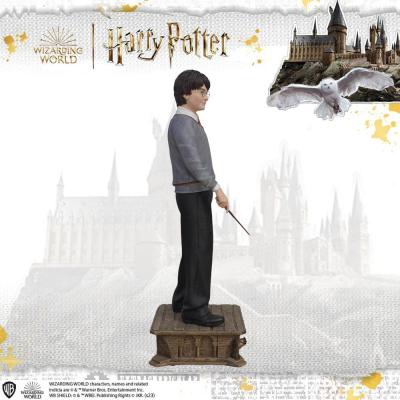Harry Potter Estatua tamaño real Harry Potter 174 cm