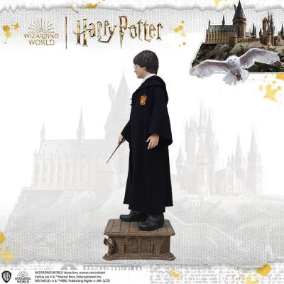 Harry Potter Estatua tamaño real Harry Potter 174 cm