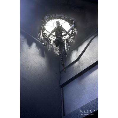 Alien: Romulus Figura Deluxe Suspended Lab Xenomorph XX121 18 cm