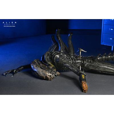 Alien: Romulus Figura Deluxe Suspended Lab Xenomorph XX121 18 cm