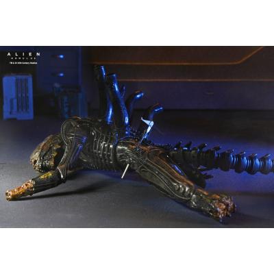 Alien: Romulus Figura Deluxe Suspended Lab Xenomorph XX121 18 cm