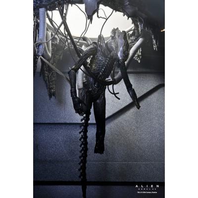 Alien: Romulus Figura Deluxe Suspended Lab Xenomorph XX121 18 cm