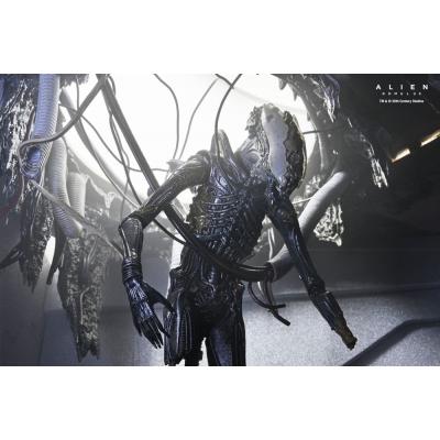 Alien: Romulus Figura Deluxe Suspended Lab Xenomorph XX121 18 cm