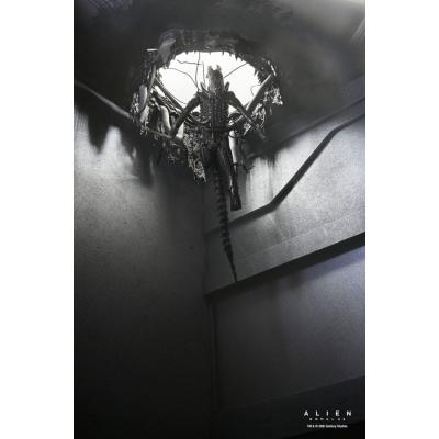Alien: Romulus Figura Deluxe Suspended Lab Xenomorph XX121 18 cm