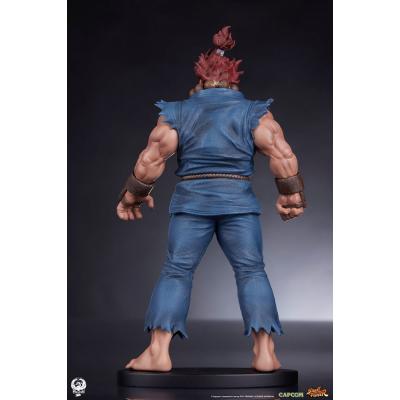Street Fighter Estatuas PVC 1/10 Akuma & Dhalsim 21 cm