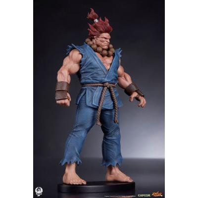Street Fighter Estatuas PVC 1/10 Akuma & Dhalsim 21 cm