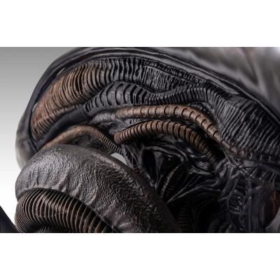 Alien Romulus Busto 1/1 Xenomorph 53 cm