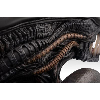 Alien Romulus Busto 1/1 Xenomorph 53 cm