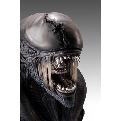 Alien Romulus Busto 1/1 Xenomorph 53 cm