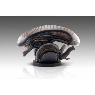 Alien Romulus Busto 1/1 Xenomorph 53 cm