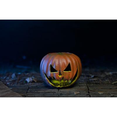 Halloween: La Maldición de Michael Myers Figura Ultimate Michael Myers 18 cm