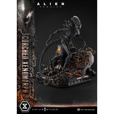 Alien: Romulus Estatua Museum Masterline XL 1/3 Scorched Xenomorph 98 cm