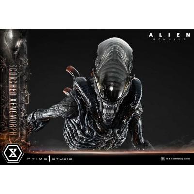 Alien: Romulus Estatua Museum Masterline XL 1/3 Scorched Xenomorph 98 cm