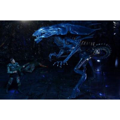 Aliens Figura Ultra Deluxe Alien Queen 38 cm
