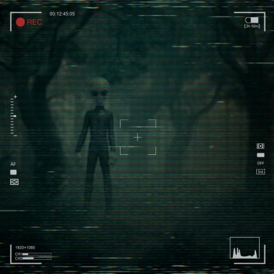 I want to Believe Estatua 1/10 Art Scale Alien Grey 21 cm