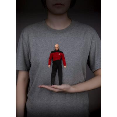 Star Trek: la próxima generación Figura Jean-Luc Picard 20 cm