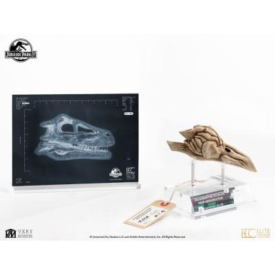 Parque Jurásico III Réplica Prop 1/1 Velociraptor Resonance Chamber 18 cm